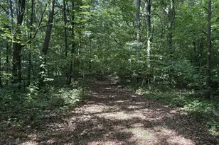 7160 N 12th St, Kalamazoo, MI 49009 - Photo 9