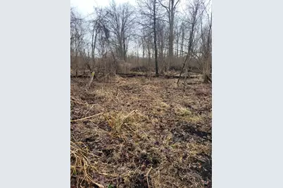 Coohon Road, Colon, MI 49040 - Photo 17