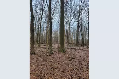 Coohon Road, Colon, MI 49040 - Photo 3