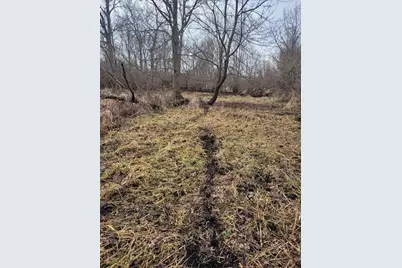 Coohon Road, Colon, MI 49040 - Photo 15