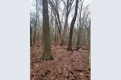 Coohon Road, Colon, MI 49040 - Photo 9