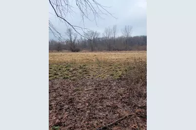 Coohon Road, Colon, MI 49040 - Photo 7