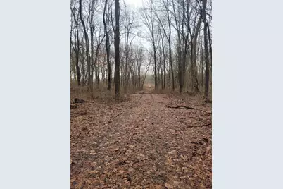 Coohon Road, Colon, MI 49040 - Photo 5