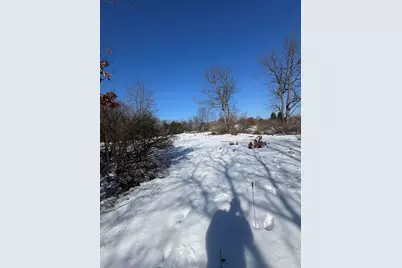 18870 Serenity Drive, Big Rapids, MI 49307 - Photo 5