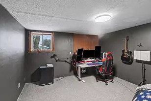 17339 McKinley Rd, Big Rapids, MI 49307 - Photo 11