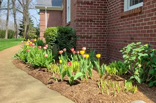 6544 Egypt Ridge Rd NE, Rockford, MI 49341 - Photo 89