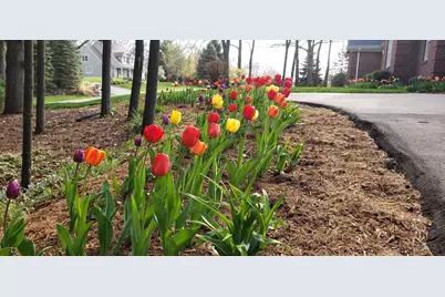 6544 Egypt Ridge Road NE, Rockford, MI 49341 - Photo 5