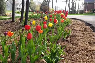 6544 Egypt Ridge Rd NE, Rockford, MI 49341 - Photo 5