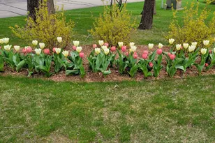 6544 Egypt Ridge Rd NE, Rockford, MI 49341 - Photo 91