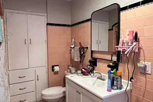 302 W Lincoln Ave, Ionia, MI 48846 - Photo 29