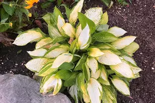 2593 Bluestone Cir, Kalamazoo, MI 49009 - Photo 7