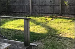 2228 9th St, Muskegon, MI 49444 - Photo 15