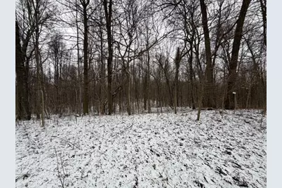 20 Acres Wildwood Road, Delton, MI 49046 - Photo 13