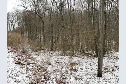 20 Acres Wildwood Road, Delton, MI 49046 - Photo 11