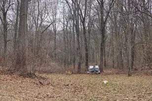 3990 Wellman Rd, Parma, MI 49269 - Photo 33