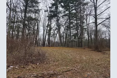 3990 Wellman Road, Parma, MI 49269 - Photo 3