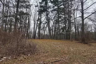 3990 Wellman Rd, Parma, MI 49269 - Photo 3