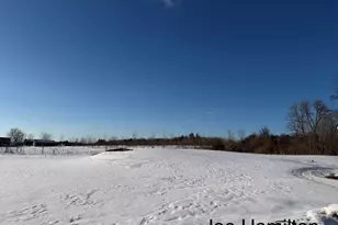 15734 Hall Rd, Bailey, MI 49303 - Photo 7