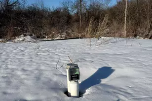 15734 Hall Rd, Bailey, MI 49303 - Photo 5