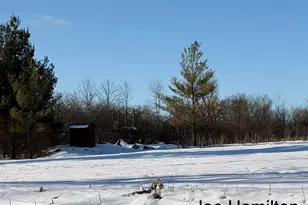 15734 Hall Rd, Bailey, MI 49303 - Photo 25