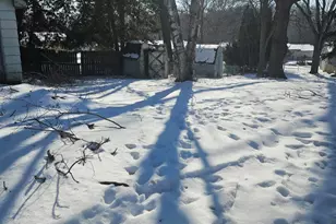 711 Orchard, Albion, MI 49224 - Photo 3