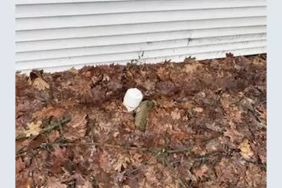 11671 Heron Drive, Lakeview, MI 48850 - Photo 19