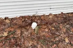 11671 Heron Dr, Lakeview, MI 48850 - Photo 19