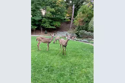 4105 Lake Harbor Road, Norton Shores, MI 49441 - Photo 47