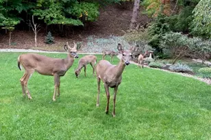 4105 Lake Harbor Rd, Norton Shores, MI 49441 - Photo 47