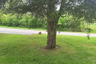 5211 Long Lake Rd, Reading, MI 49274 - Photo 81