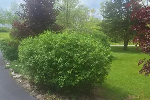 5211 Long Lake Rd, Reading, MI 49274 - Photo 107