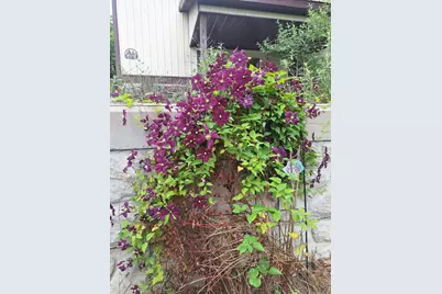 5211 Long Lake Road, Reading, MI 49274 - Photo 91