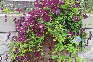 5211 Long Lake Rd, Reading, MI 49274 - Photo 91