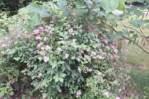 5211 Long Lake Rd, Reading, MI 49274 - Photo 85