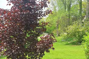 5211 Long Lake Rd, Reading, MI 49274 - Photo 87