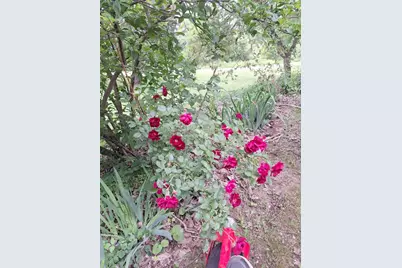 5211 Long Lake Road, Reading, MI 49274 - Photo 99