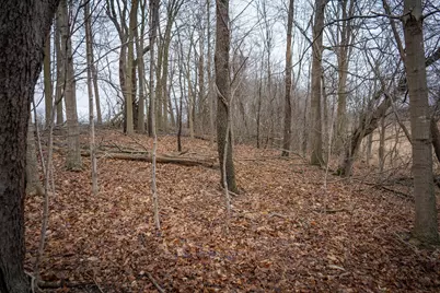 1601 W Territorial Road, Camden, MI 49232 - Photo 23