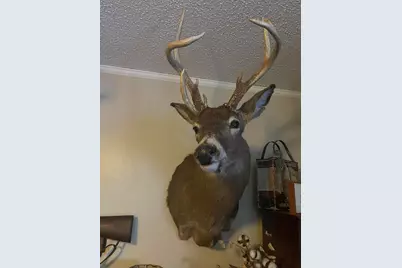 1601 W Territorial Road, Camden, MI 49232 - Photo 33