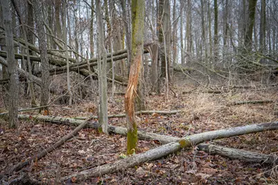 1601 W Territorial Road, Camden, MI 49232 - Photo 29