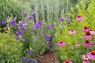 2644 Whitewood St, Ann Arbor, MI 48104 - Photo 27