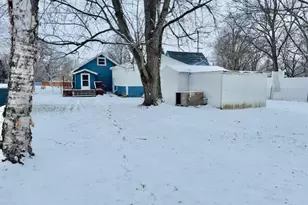 217 Amasa St, Woodland, MI 48897 - Photo 9