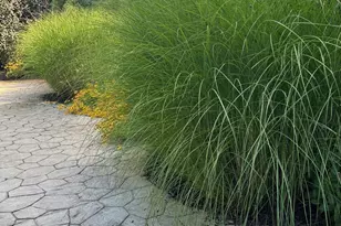 71 Kristin Dr, Marshall, MI 49068 - Photo 49