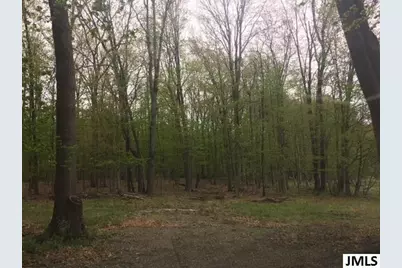 3002 Hatch Road, Jackson, MI 49201 - Photo 3