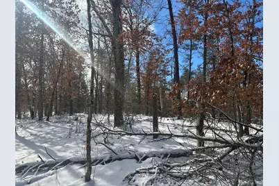 7251 S Clay Banks Road, Baldwin, MI 49304 - Photo 9