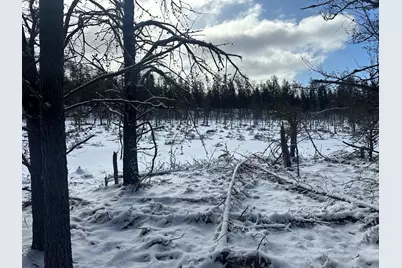 7251 S Clay Banks Road, Baldwin, MI 49304 - Photo 3