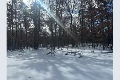 7251 S Clay Banks Road, Baldwin, MI 49304 - Photo 11