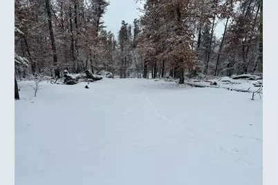 7251 S Clay Banks Road, Baldwin, MI 49304 - Photo 13