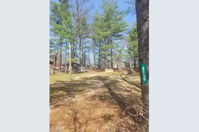 8650 Paw Paw Trail, Howard City, MI 49329 - Photo 5