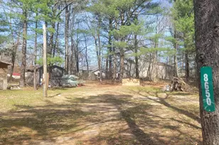 8650 Paw Paw Trail, Howard City, MI 49329 - Photo 5