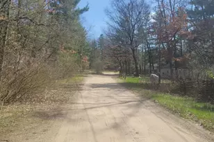 8650 Paw Paw Trail, Howard City, MI 49329 - Photo 9